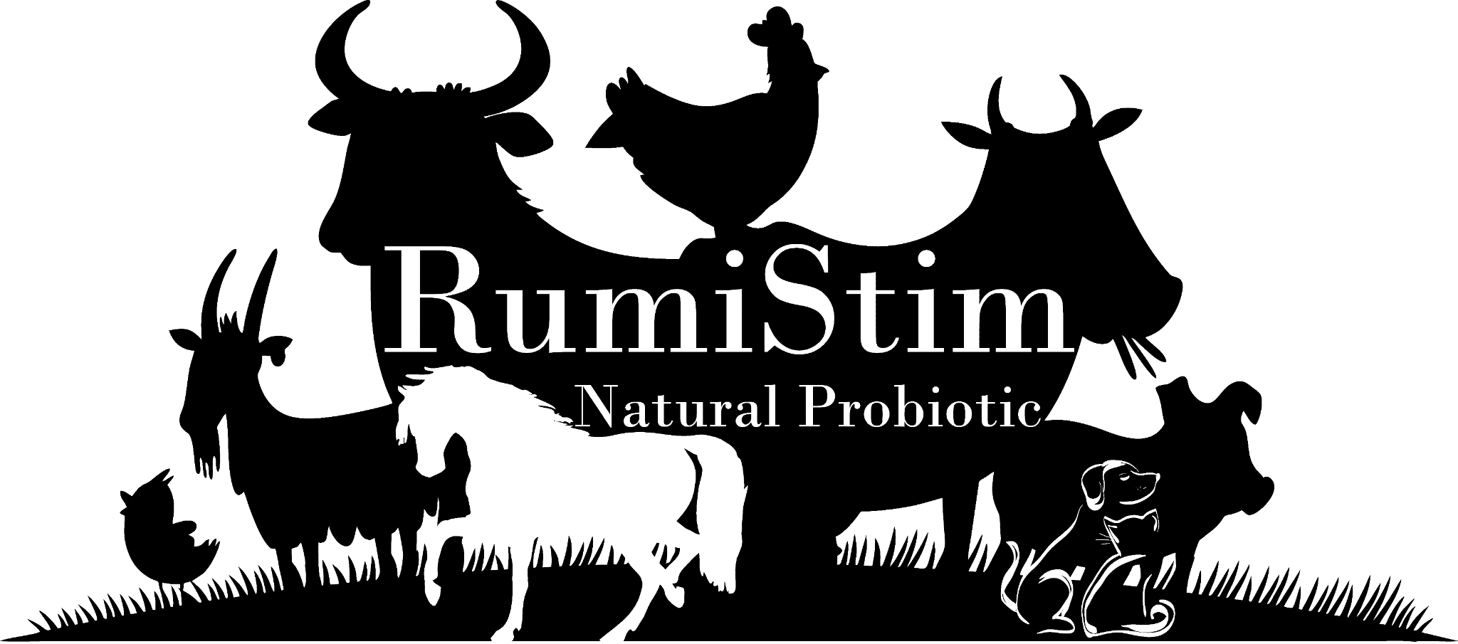 RumiStim